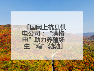 国网上杭县供电公司：“满格电”助力养殖场生“鸡”勃勃