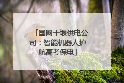 国网十堰供电公司：智能机器人护航高考保电