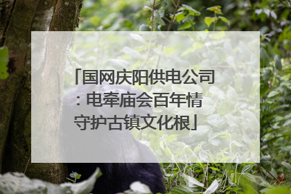 国网庆阳供电公司：电牵庙会百年情 守护古镇文化根