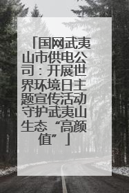 国网武夷山市供电公司：开展世界环境日主题宣传活动守护武夷山生态“高颜值”