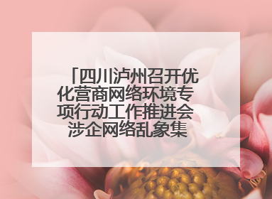 四川泸州召开优化营商网络环境专项行动工作推进会 涉企网络乱象集中整治初见成效
