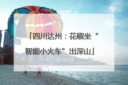 四川达州：花椒坐“智能小火车”出深山