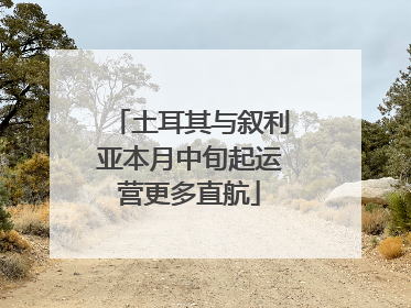 土耳其与叙利亚本月中旬起运营更多直航