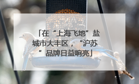 在“上海飞地”盐城市大丰区，“沪苏”品牌日益响亮