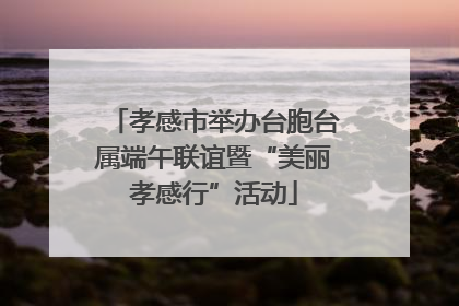 孝感市举办台胞台属端午联谊暨“美丽孝感行”活动