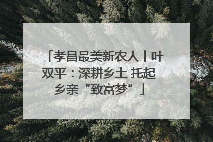 孝昌最美新农人丨叶双平：深耕乡土 托起乡亲“致富梦”