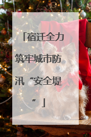 宿迁全力筑牢城市防汛“安全堤”