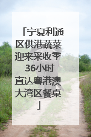 宁夏利通区供港蔬菜迎来采收季 36小时直达粤港澳大湾区餐桌