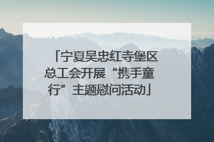 宁夏吴忠红寺堡区总工会开展“携手童行”主题慰问活动