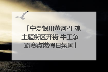 宁夏银川黄河·牛魂主题街区开街 牛王争霸赛点燃假日氛围