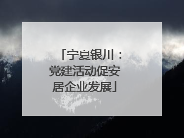 宁夏银川：党建活动促安居企业发展