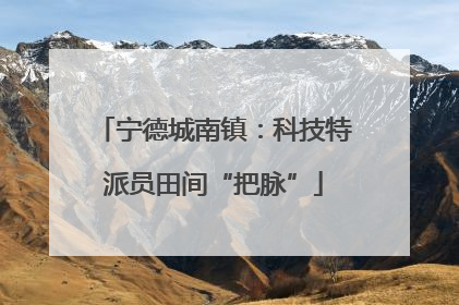 宁德城南镇：科技特派员田间“把脉”
