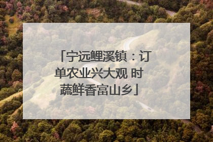 宁远鲤溪镇：订单农业兴大观 时蔬鲜香富山乡