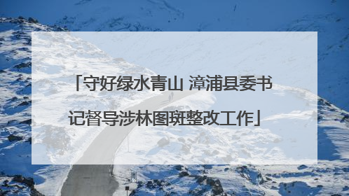 守好绿水青山 漳浦县委书记督导涉林图斑整改工作