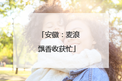 安徽：麦浪飘香收获忙