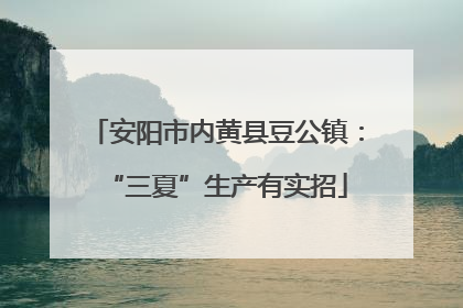 安阳市内黄县豆公镇：“三夏”生产有实招