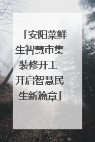 安阳菜鲜生智慧市集装修开工 开启智慧民生新篇章