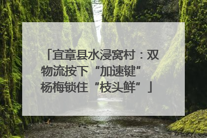 宜章县水浸窝村：双物流按下“加速键” 杨梅锁住“枝头鲜”