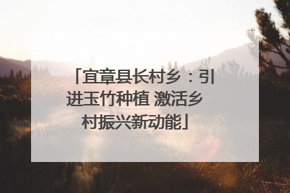 宜章县长村乡：引进玉竹种植 激活乡村振兴新动能