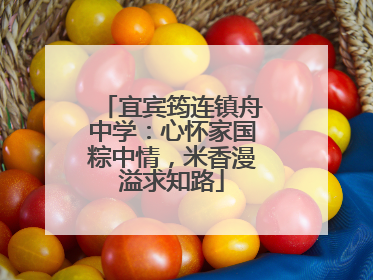 宜宾筠连镇舟中学：心怀家国粽中情，米香漫溢求知路