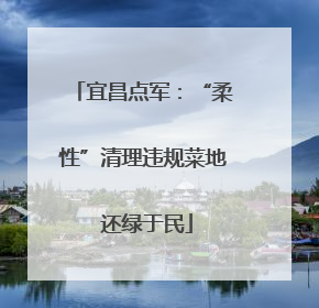 宜昌点军：“柔性”清理违规菜地 还绿于民