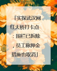 实探武汉网红大桥打卡点：围栏已拆除，员工称押金措施也取消