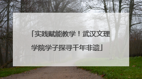 实践赋能教学！武汉文理学院学子探寻千年非遗