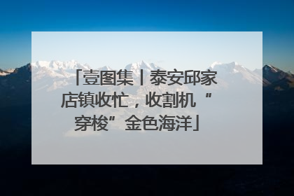 壹图集丨泰安邱家店镇收忙，收割机“穿梭”金色海洋