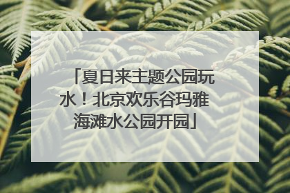 夏日来主题公园玩水！北京欢乐谷玛雅海滩水公园开园