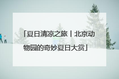 夏日清凉之旅丨北京动物园的奇妙夏日大赏