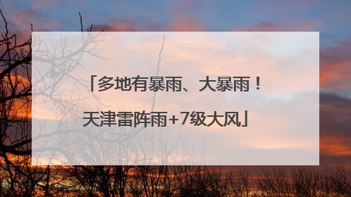 多地有暴雨、大暴雨！天津雷阵雨+7级大风