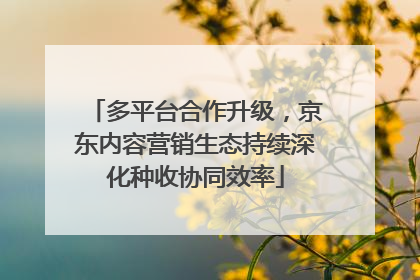 多平台合作升级，京东内容营销生态持续深化种收协同效率