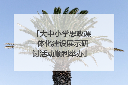 大中小学思政课一体化建设展示研讨活动顺利举办