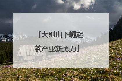 大别山下崛起茶产业新势力