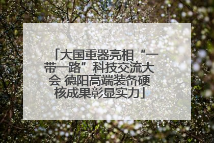 大国重器亮相“一带一路”科技交流大会 德阳高端装备硬核成果彰显实力