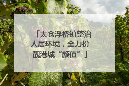 太仓浮桥镇整治人居环境，全力扮靓港城“颜值”