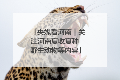 央媒看河南｜关注河南夏收夏种 野生动物等内容