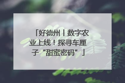 好德州丨数字农业上线！探寻车厘子“甜蜜密码”