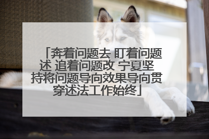奔着问题去 盯着问题述 追着问题改 宁夏坚持将问题导向效果导向贯穿述法工作始终