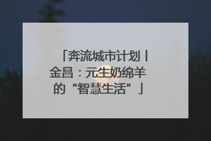 奔流城市计划丨金昌：元生奶绵羊的“智慧生活”