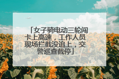 女子骑电动三轮闯卡上高速，工作人员现场拦截没追上，交警巡查截停