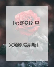 心系桑梓 星火燎原暖湖塘