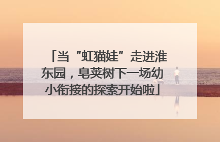 当“虹猫娃”走进淮东园，皂荚树下一场幼小衔接的探索开始啦