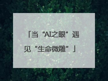当“AI之眼”遇见“生命微雕”