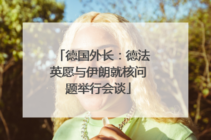 德国外长：德法英愿与伊朗就核问题举行会谈