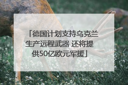 德国计划支持乌克兰生产远程武器 还将提供50亿欧元军援