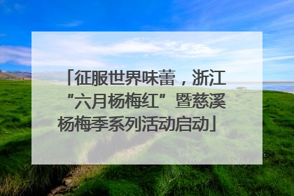 征服世界味蕾，浙江“六月杨梅红”暨慈溪杨梅季系列活动启动