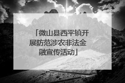 微山县西平镇开展防范涉农非法金融宣传活动