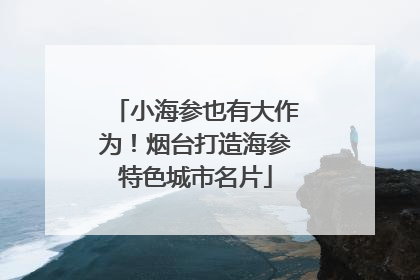 小海参也有大作为！烟台打造海参特色城市名片