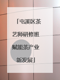 屯溪区茶艺师研修班赋能茶产业新发展